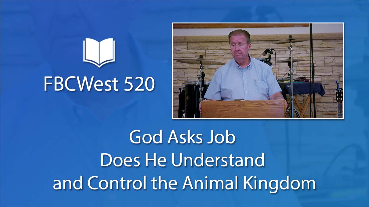 520 FBCWest | God Asks Job - Does He Understand and Control the Animal Kingdom photo poster
