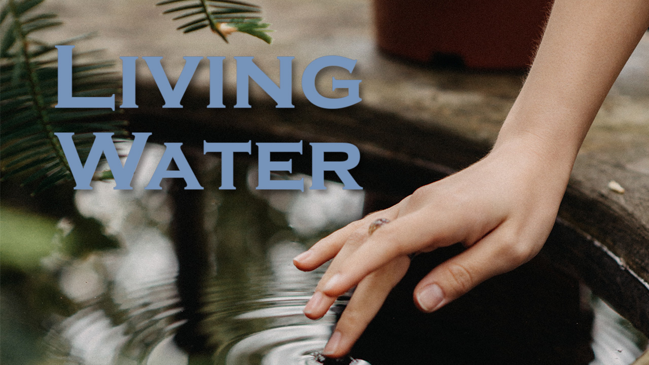 560 FBCWest | Living Water photo poster