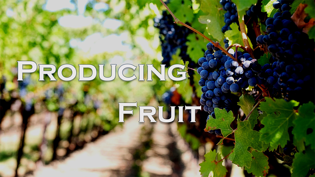 593 FBCWest | Producing Fruit photo poster