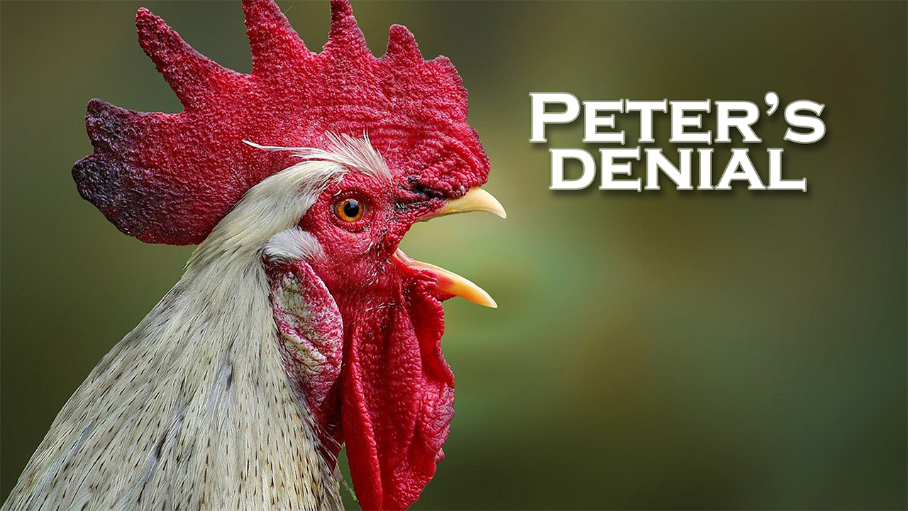Peter Denial | Poster