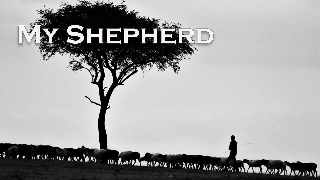 My Shepherd | Poster