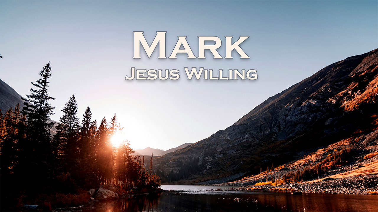 If Jesus Is Willing | Poster