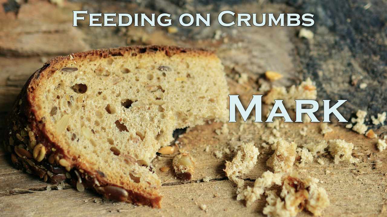 659 FBCWest | Feeding on Crumbs photo poster