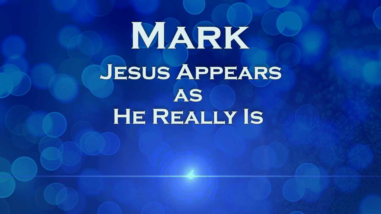 665 FBCWest | Jesus Appears as He Really Is photo poster