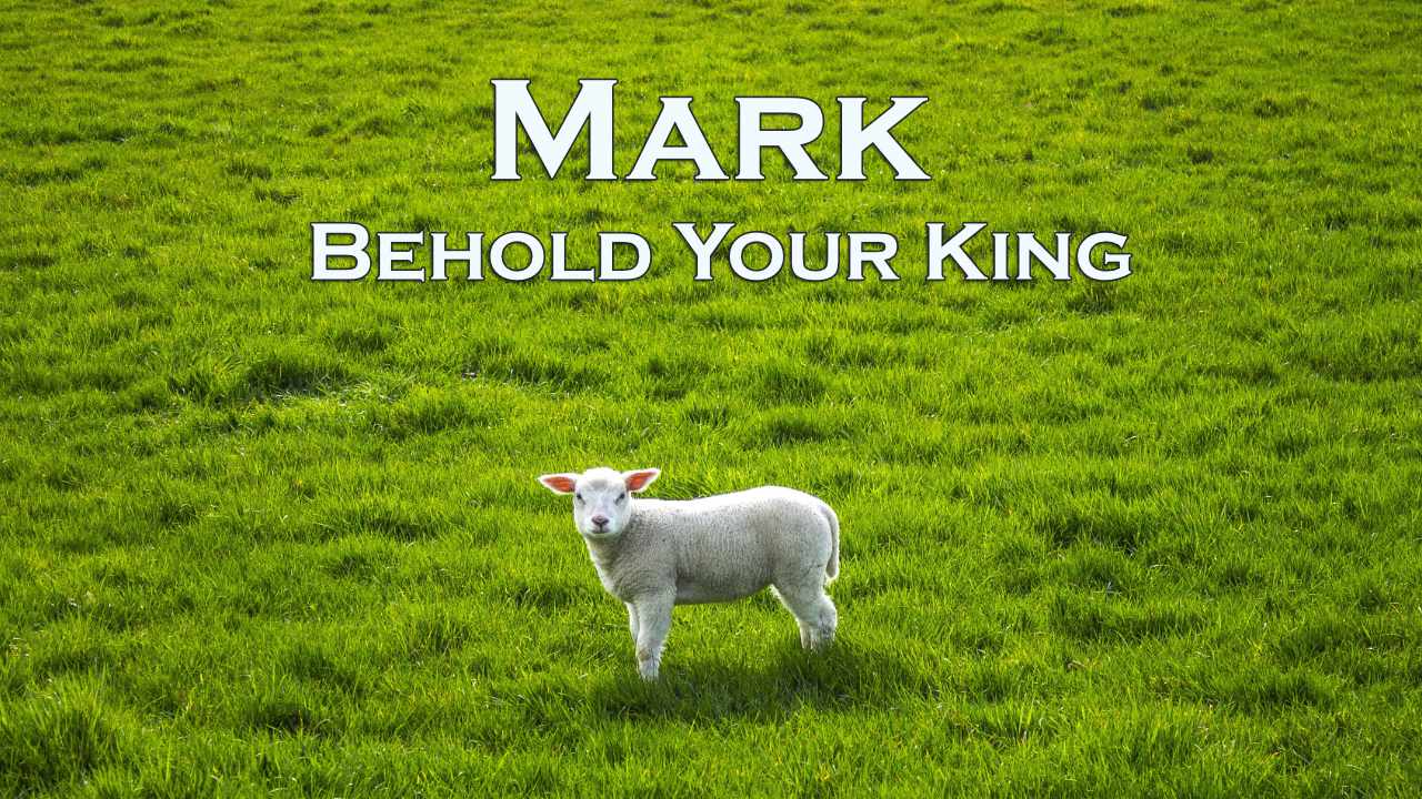 673 FBCWest | Behold Your King photo poster