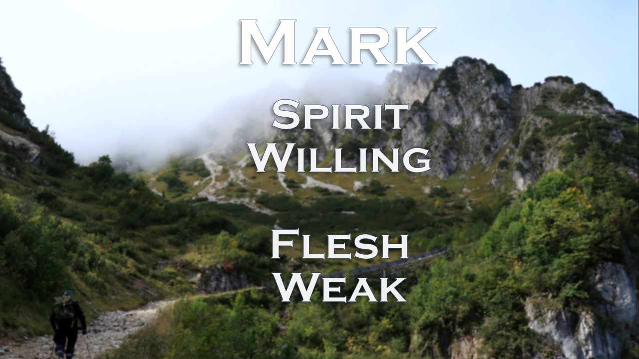 681 FBCWest | Spirit Willing, Flesh Weak photo poster